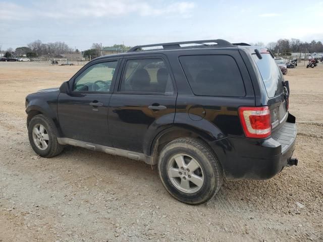 2009 Ford Escape XLT