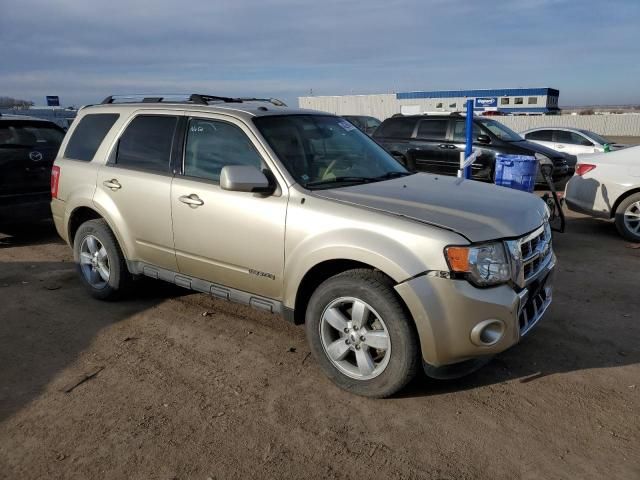 2011 Ford Escape Limited