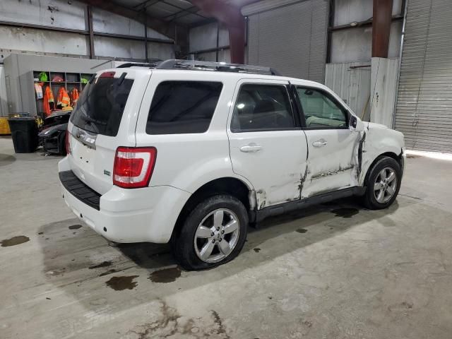 2010 Ford Escape Limited