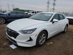 Salvage cars for sale at Elgin, IL auction: 2020 Hyundai Sonata SE