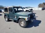 1999 Jeep Wrangler / TJ Sahara