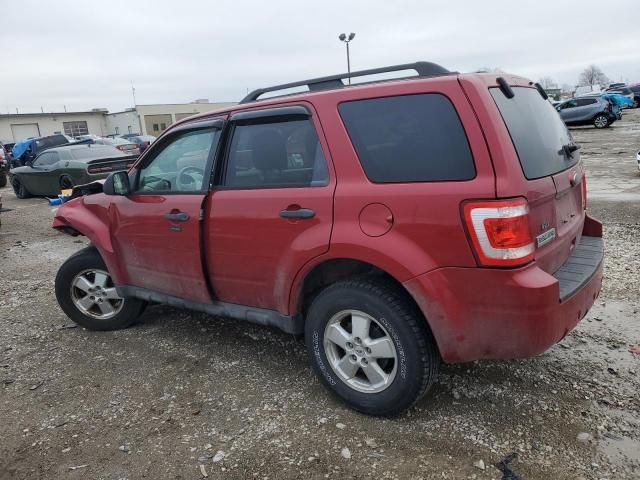 2010 Ford Escape XLT