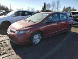 Honda salvage cars for sale: 2008 Honda Civic DX-G