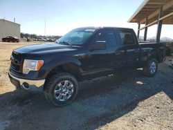 Salvage SUVs for sale at auction: 2014 Ford F150 Supercrew