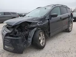 Ford Escape se Vehiculos salvage en venta: 2013 Ford Escape SE