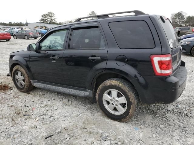 2010 Ford Escape XLT