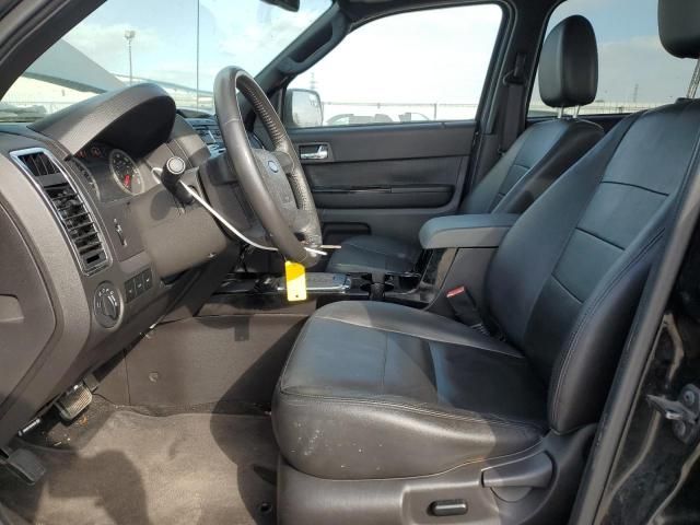 2010 Ford Escape Limited