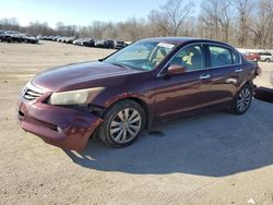 Honda Accord salvage cars for sale: 2011 Honda Accord EX