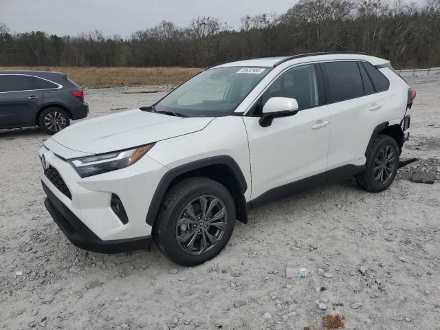 2024 Toyota Rav4 XLE Premium