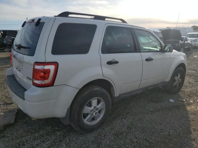 2010 Ford Escape XLS