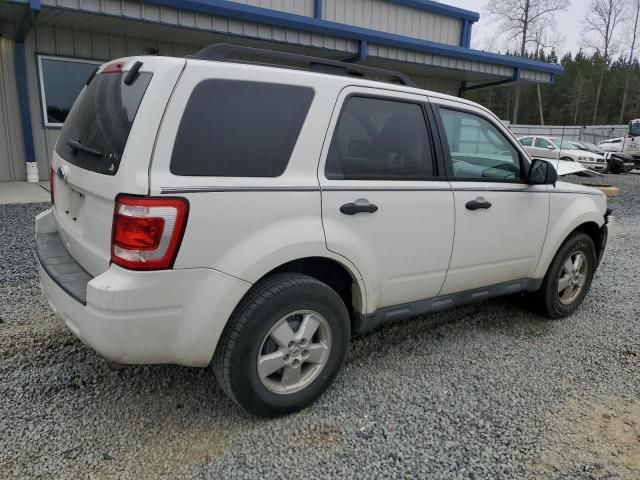 2010 Ford Escape XLT