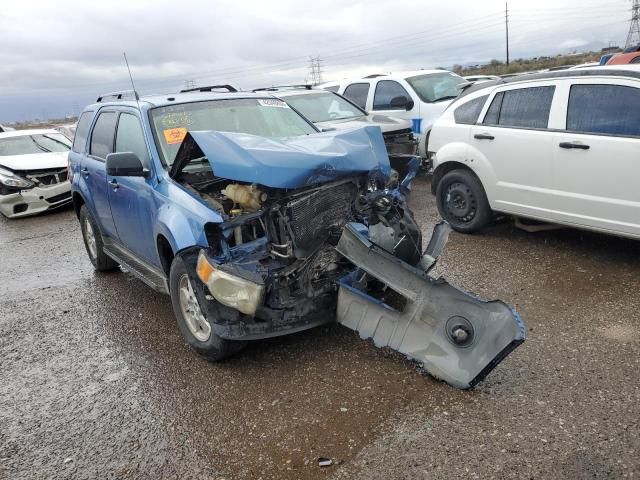 2010 Ford Escape XLT