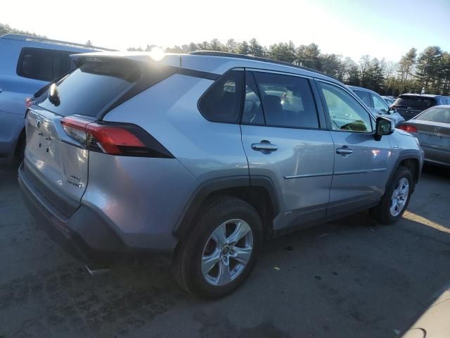 2019 Toyota Rav4 XLE