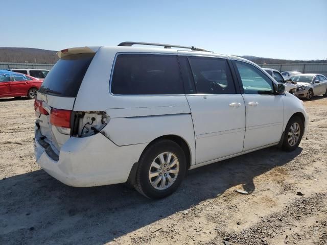 2008 Honda Odyssey EXL