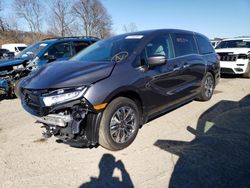 Salvage cars for sale at Marlboro, NY auction: 2023 Honda Odyssey EXL