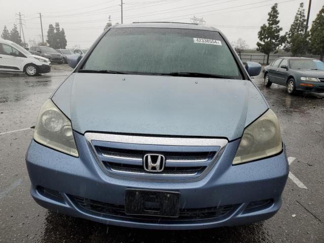 2005 Honda Odyssey EXL