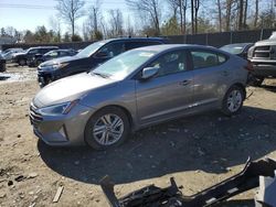 Hyundai salvage cars for sale: 2019 Hyundai Elantra SEL