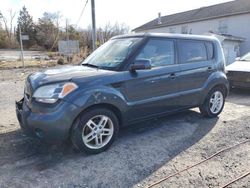 Salvage cars for sale at York Haven, PA auction: 2011 KIA Soul +