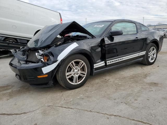 2010 Ford Mustang