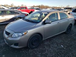 Salvage cars for sale from Copart Hillsborough, NJ: 2009 Toyota Corolla Base