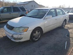 Salvage cars for sale from Copart York Haven, PA: 2003 Toyota Avalon XL