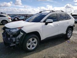 Toyota Rav4 XLE salvage cars for sale: 2019 Toyota Rav4 XLE