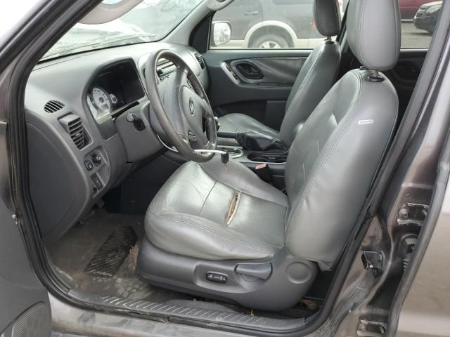 2005 Ford Escape XLT