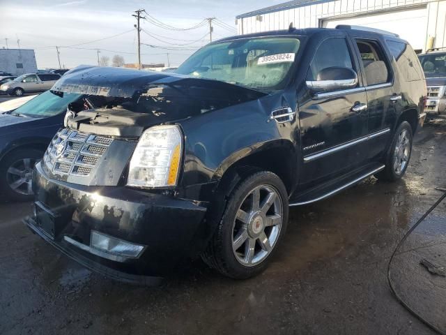 2010 Cadillac Escalade Luxury