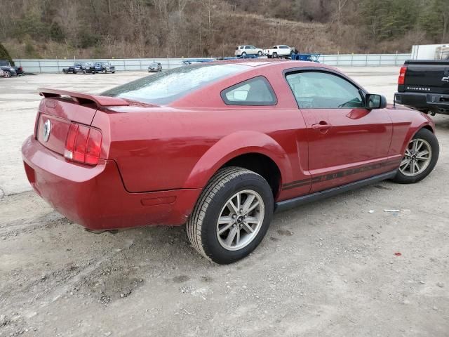 2005 Ford Mustang