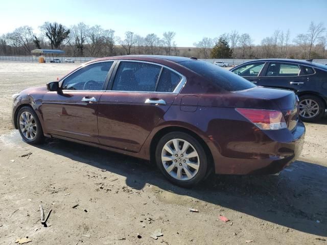 2010 Honda Accord EXL