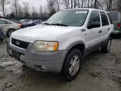 Salvage cars for sale at Waldorf, MD auction: 2001 Ford Escape XLT