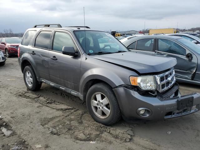 2012 Ford Escape XLT