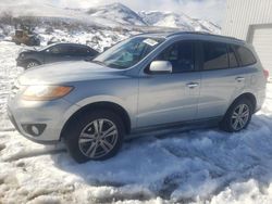 Salvage cars for sale from Copart Reno, NV: 2010 Hyundai Santa FE Limited