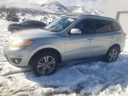 Hyundai Santa fe salvage cars for sale: 2010 Hyundai Santa FE Limited