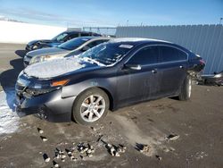 Acura TL salvage cars for sale: 2013 Acura TL Tech