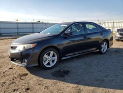 Salvage cars for sale from Copart Bakersfield, CA: 2014 Toyota Camry L