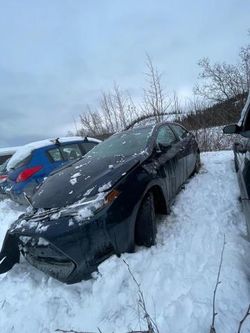 Salvage cars for sale at Rocky View County, AB auction: 2017 Toyota Corolla L