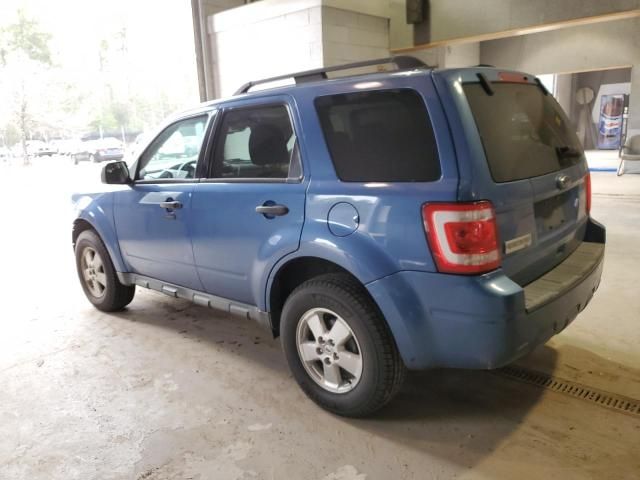 2010 Ford Escape XLT