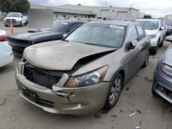 Salvage cars for sale from Copart Martinez, CA: 2009 Honda Accord EXL