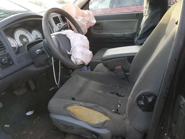 2007 Dodge Dakota SLT