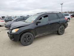 2010 Toyota Rav4 for sale in Indianapolis, IN