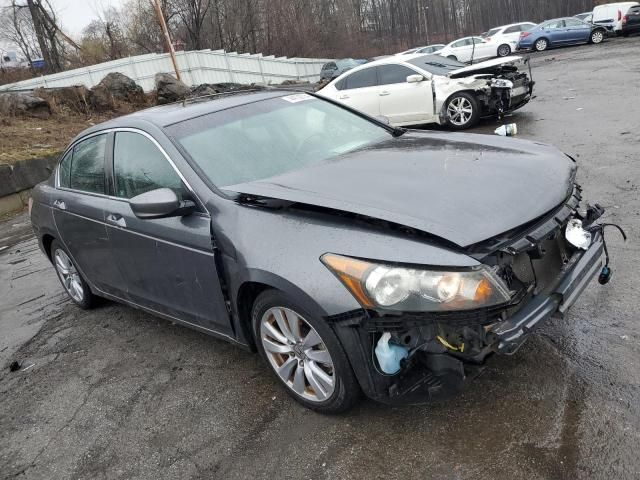 2011 Honda Accord EXL