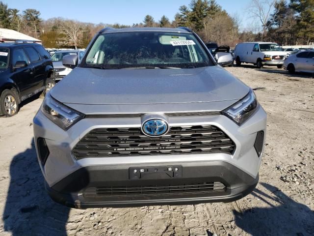 2024 Toyota Rav4 XLE