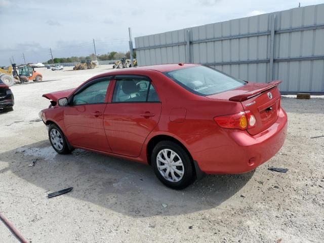 2009 Toyota Corolla Base