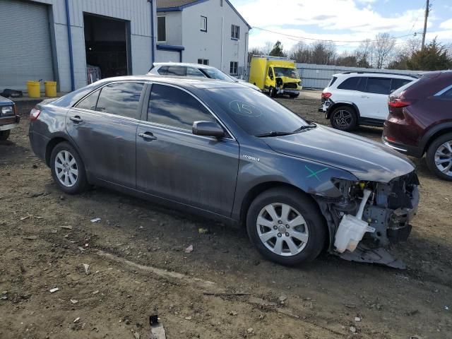 2009 Toyota Camry Hybrid