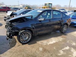 Ford Focus SES salvage cars for sale: 2010 Ford Focus SES