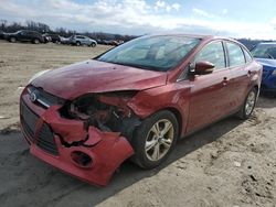 Ford Focus SE Vehiculos salvage en venta: 2014 Ford Focus SE