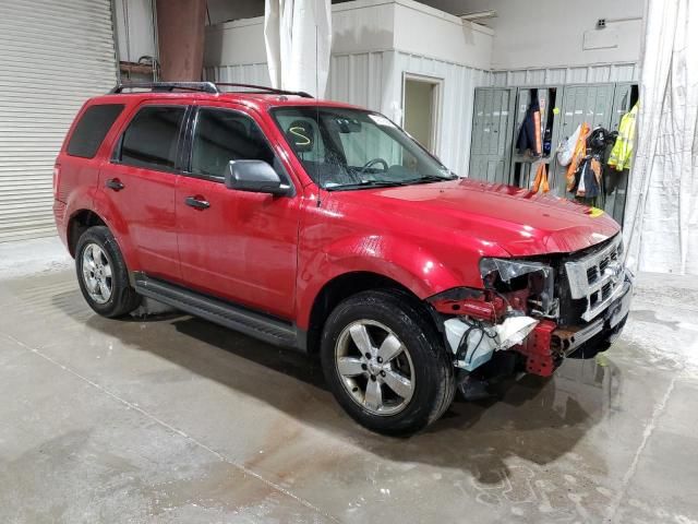 2010 Ford Escape XLT