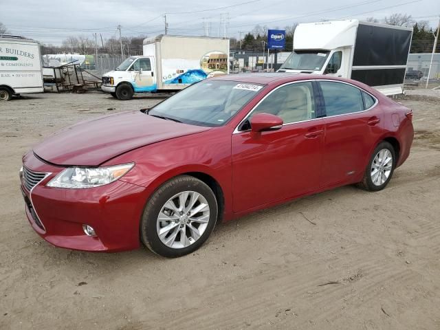 2014 Lexus ES 300H