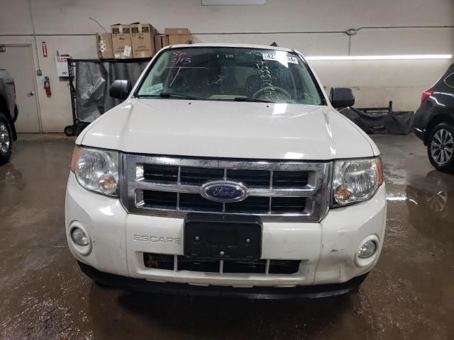 2009 Ford Escape XLT